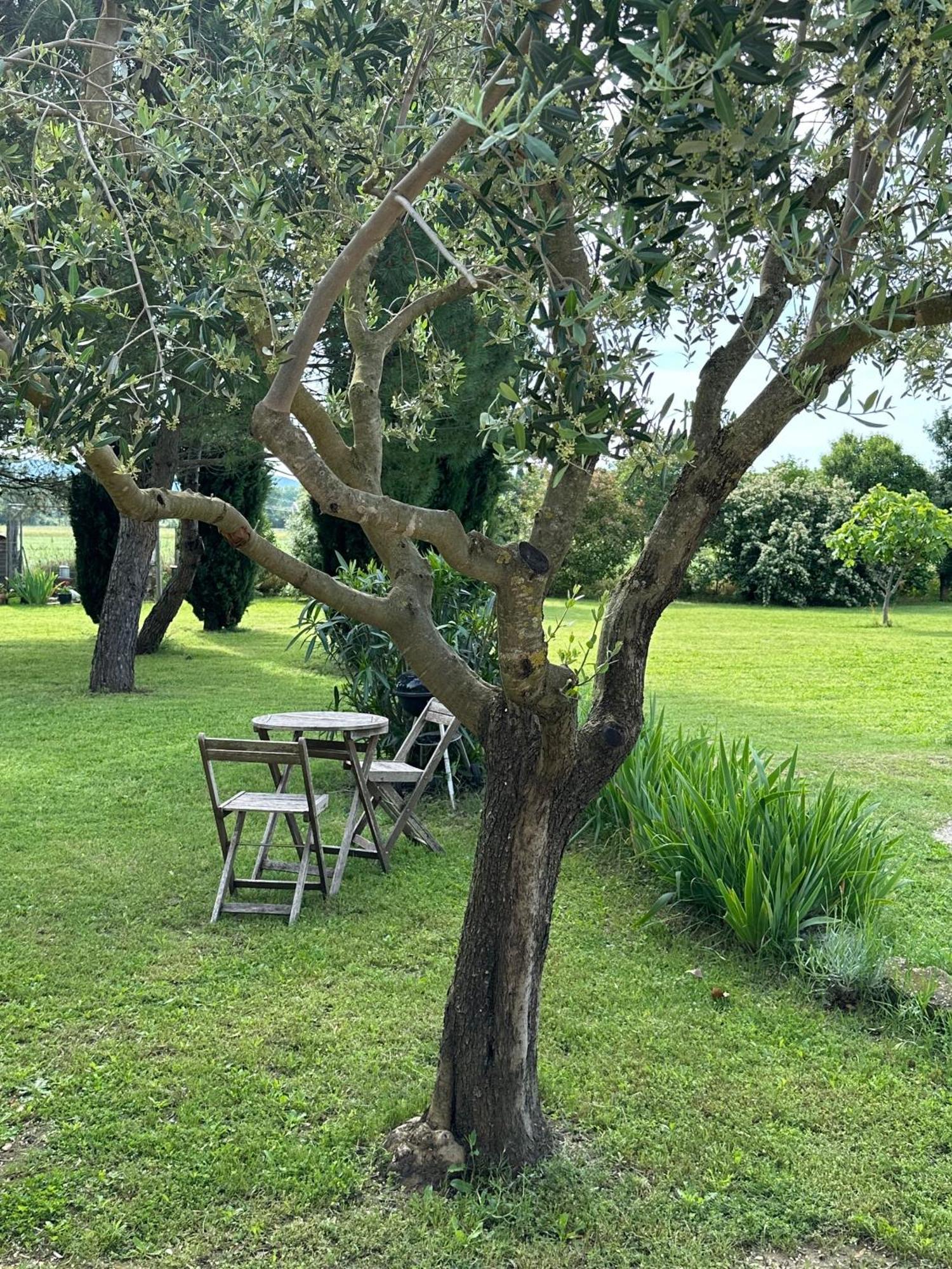Maisonnette Independante Au Calme Dans Un Grand Jardin Chateauneuf-du-Rhone ภายนอก รูปภาพ