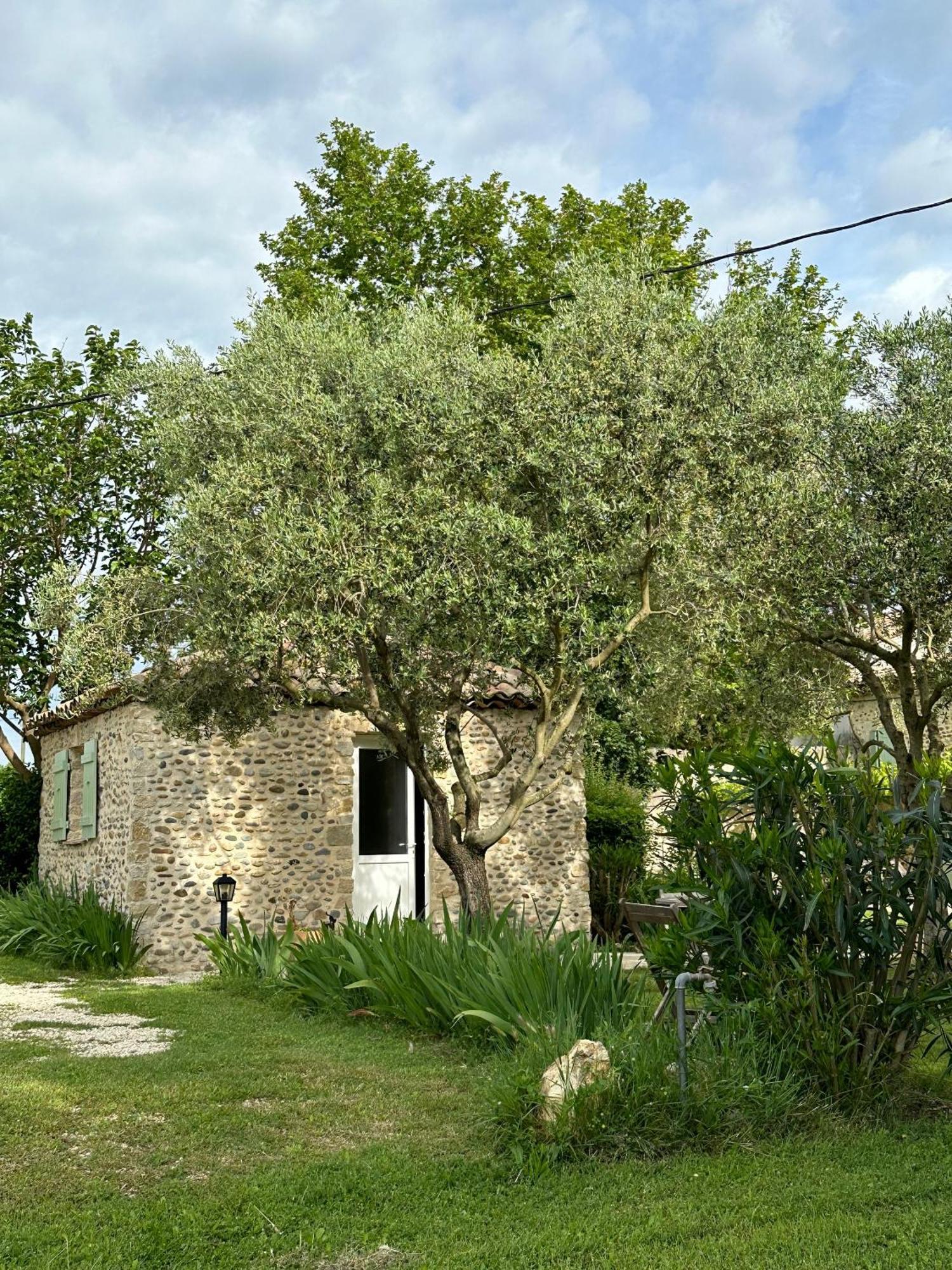 Maisonnette Independante Au Calme Dans Un Grand Jardin Chateauneuf-du-Rhone ภายนอก รูปภาพ